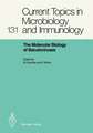 The Molecular Biology of Baculoviruses