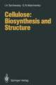 Cellulose: Biosynthesis and Structure