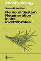 Nervous System Regeneration in the Invertebrates