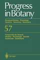 Progress in Botany / Fortschritte der Botanik: Structural Botany Physiology Genetics Taxonomy Geobotany / Struktur Physiologie Genetik Systematik Geobotanik