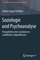 Soziologie und Psychoanalyse: Perspektiven einer sozialwissenschaftlichen Subjekttheorie