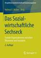 Das Sozialwirtschaftliche Sechseck: Soziale Organisationen zwischen Ökonomie und Sozialem