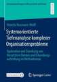 Systemorientierte Tiefenanalyse komplexer Organisationsprobleme: Exploration und Erprobung von Vernetztem Denken und Erkundungsaufstellung im Methodenmix