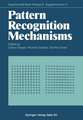 Pattern Recognition Mechanisms