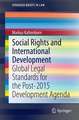 Social Rights and International Development: Global Legal Standards for the Post-2015 Development Agenda