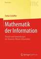 Mathematik der Information: Theorie und Anwendungen der Shannon-Wiener Information