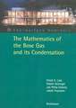 The Mathematics of the Bose Gas and its Condensation