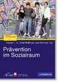 Prävention im Sozialraum