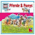 Pferde und Ponys