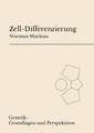 Zell-Differenzierung