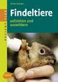 Patient Tier. Findeltiere