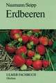 Erdbeeren