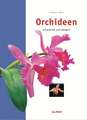 Orchideen