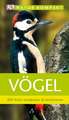 Vögel