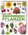 Pflanzen