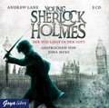 Young Sherlock Holmes 01. Der Tod liegt in der Luft