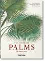 Martius. The Book of Palms