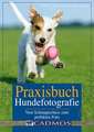 Praxisbuch Hundefotografie