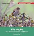 Die Hecke