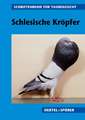 Schlesische Kröpfer