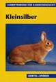 Kleinsilber