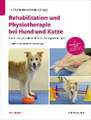 Rehabilitation und Physiotherapie bei Hund und Katze