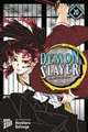 Demon Slayer - Kimetsu no Yaiba 20 Limited Edition