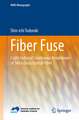 Fiber Fuse: Light-Induced Continuous Breakdown of Silica Glass Optical Fiber