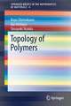 Topology of Polymers