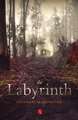 THE LABYRINTH