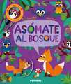 Asomate al Bosque = Peek-Through Forest