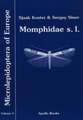 Momphidae s.l.: (Momphidae, Batrachedridae, Stathmopodidae, Agonoxenidae, Cosmopterigidae, Chrysopeleiidae)