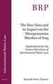 The Ilisu Dam and its Impact on the Mesopotamian Marshes of Iraq: Implications for the Future Directions of International Water Law