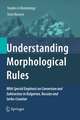 Understanding Morphological Rules: With Special Emphasis on Conversion and Subtraction in Bulgarian, Russian and Serbo-Croatian