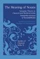 The Meaning of Nouns: Semantic Theory in Classical and Medieval India