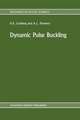 Dynamic Pulse Buckling: Theory and Experiment