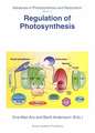 Regulation of Photosynthesis