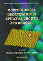 Morphological Organization in Epitaxial Growth and Removal