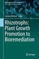 Rhizotrophs: Plant Growth Promotion to Bioremediation