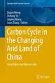 Carbon Cycle in the Changing Arid Land of China: Yanqi Basin and Bosten Lake