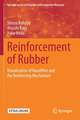 Reinforcement of Rubber: Visualization of Nanofiller and the Reinforcing Mechanism