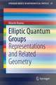 Elliptic Quantum Groups: Representations and Related Geometry