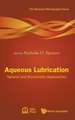 Aqueous Lubrication: Natural and Biomimetic Approaches