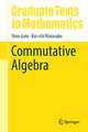 Commutative Algebra