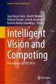 Intelligent Vision and Computing