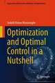 Optimization and Optimal Control in a Nutshell