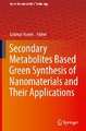 Secondary Metabolites Based Green Synthesis of Nanomaterials and Their Applications