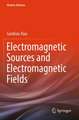 Electromagnetic Sources and Electromagnetic Fields