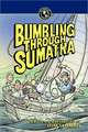Bumbling Through Sumatra
