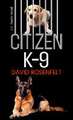 Citizen K-9: A K Team Novel